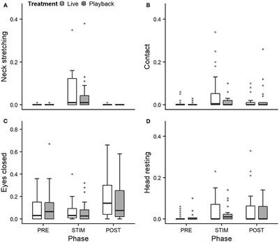 Talking to Cows: Reactions to Different Auditory Stimuli During Gentle Human-Animal Interactions